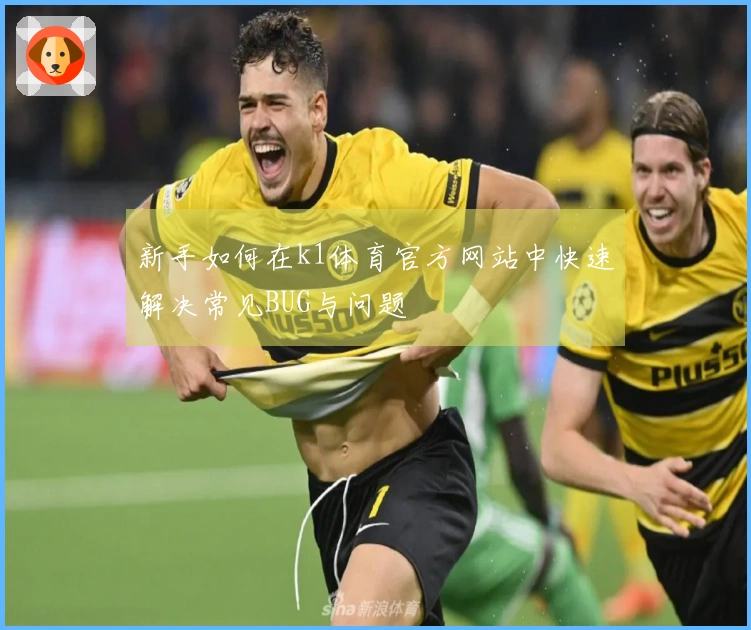 新手如何在k1体育官方网站中快速解决常见BUG与问题