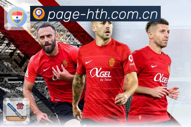 体育赛事直播服务